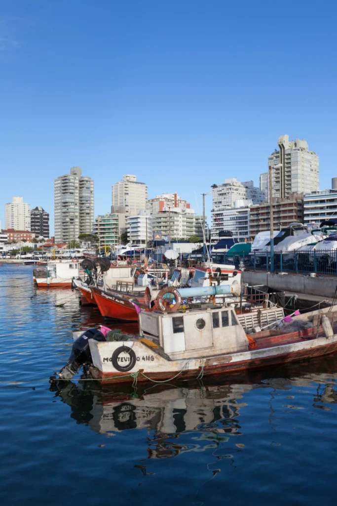 Puerto deportivo de Punta del Este con barcos pesqueros y edificios de fondo en Uruguay
